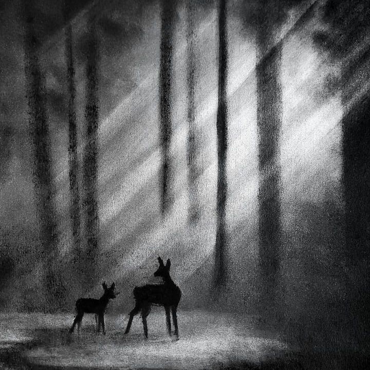 charcoal pencil drawing
