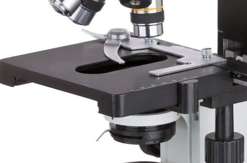 what does the condenser do on a microscope