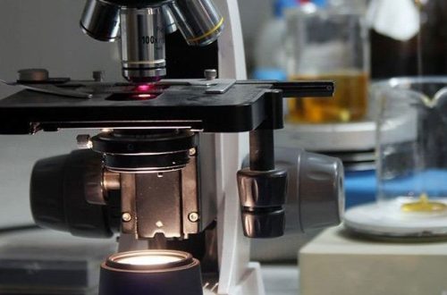 how to focus a microscope