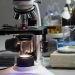 how to focus a microscope