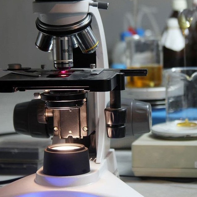 how to focus a microscope