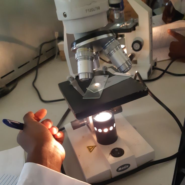 where are the focus controls on a microscope located