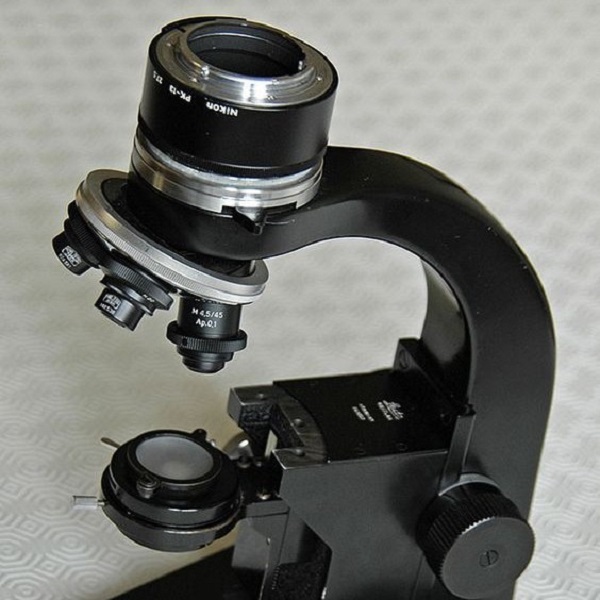 what does the condenser do on a microscope