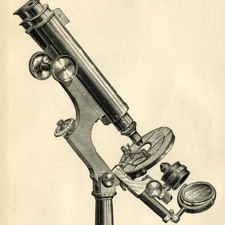 who built the first compound light microscope