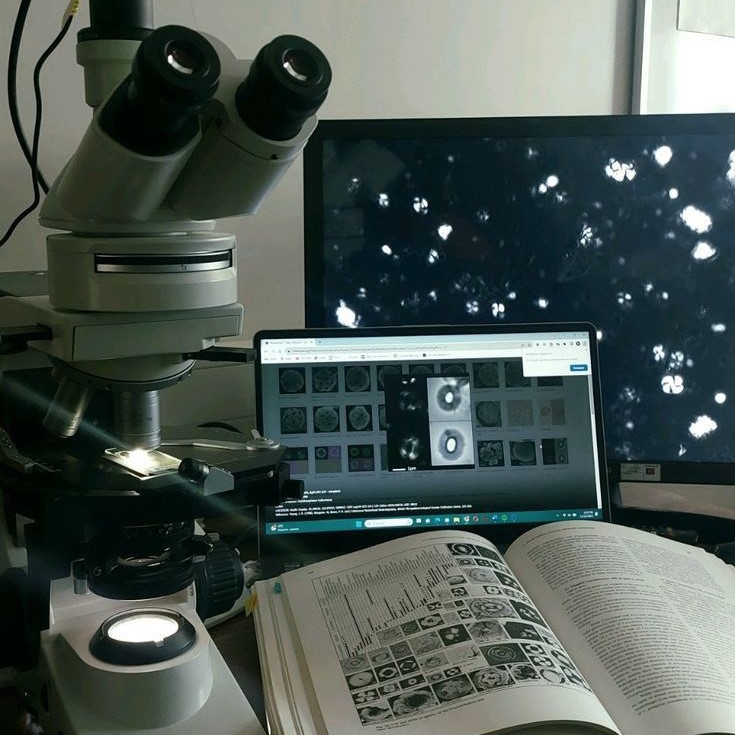 what is a light microscope