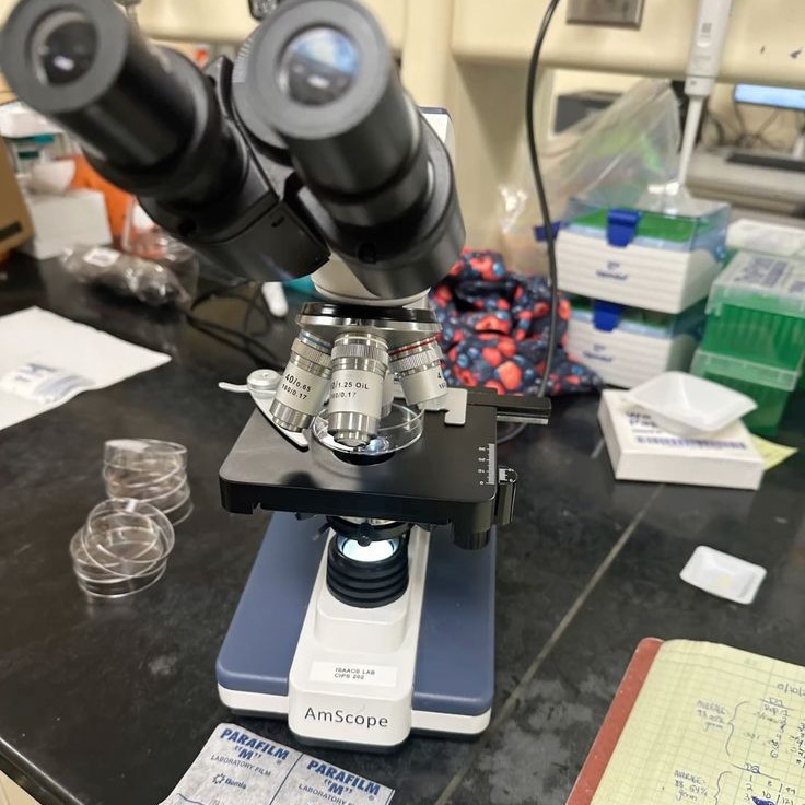 what is the function of the stage on a microscope