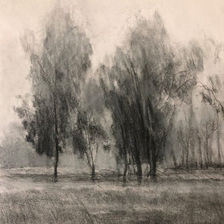 pencil landscape drawing