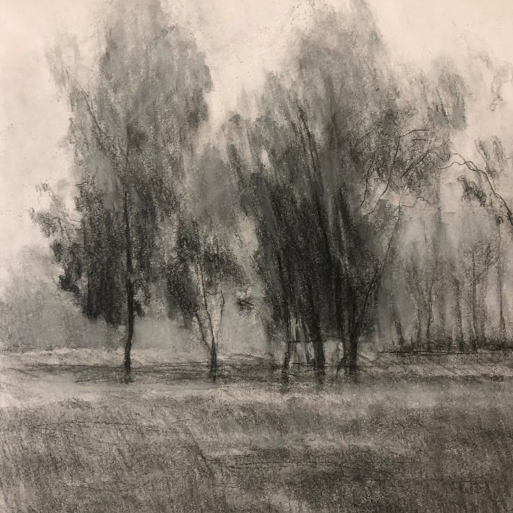 charcoal pencil drawing