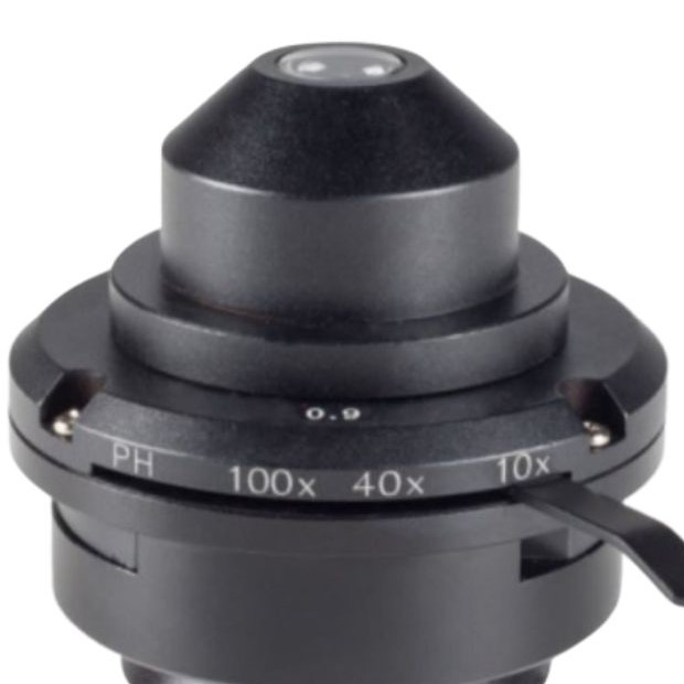 what does the condenser do on a microscope