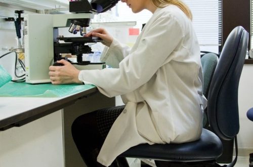 what type of microscope is used in most science classes