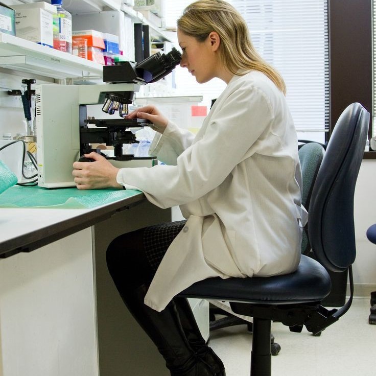what type of microscope is used in most science classes