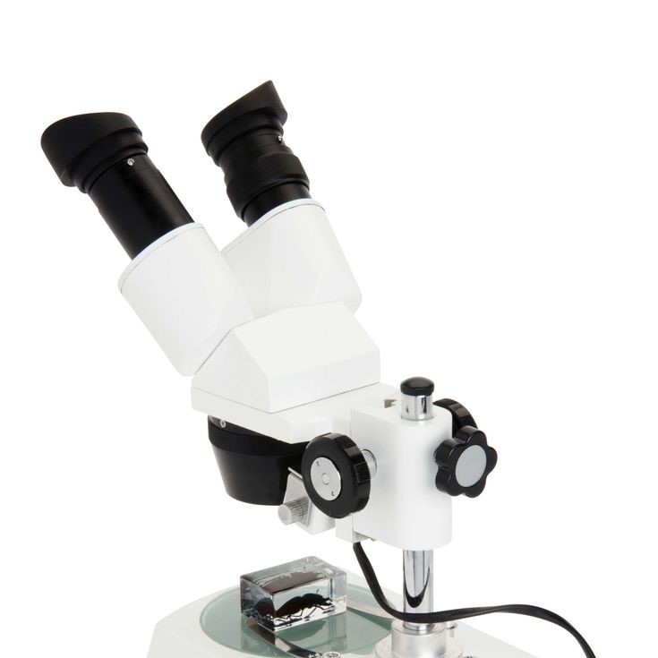 what does the eyepiece do on a microscope