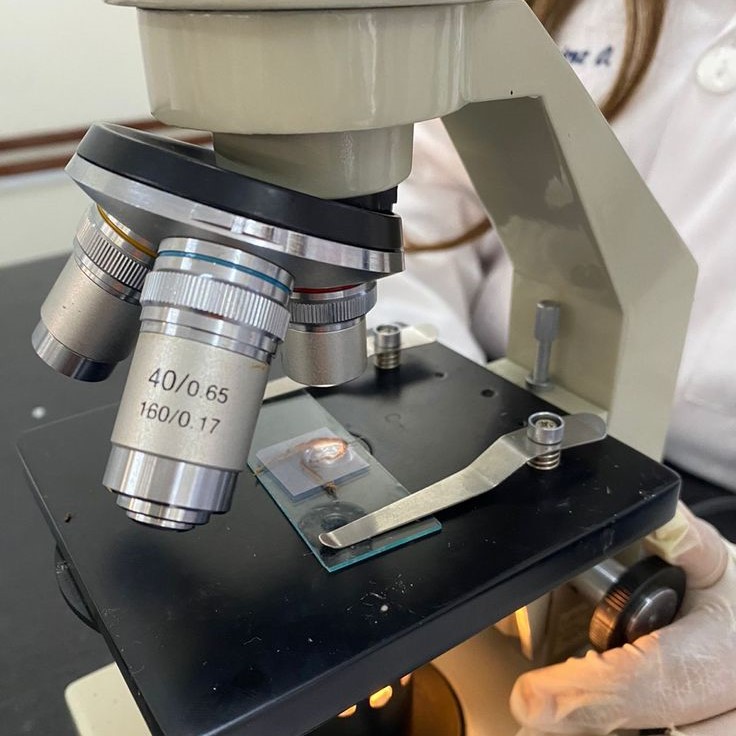 what is the function of the stage on a microscope