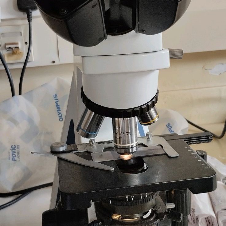 what is a light microscope