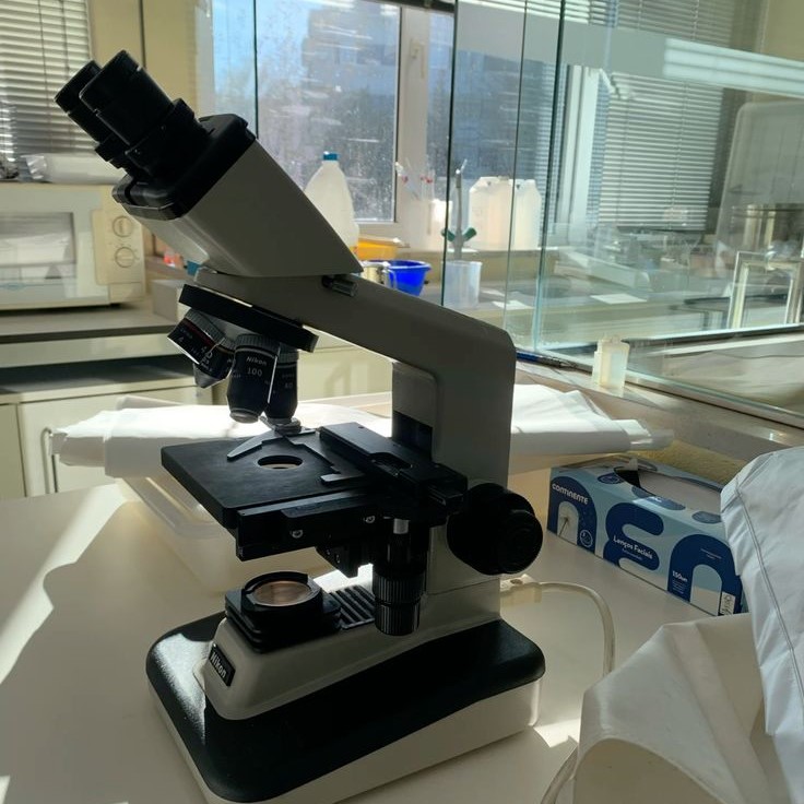 what is the function of the stage on a microscope