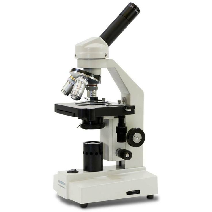 what does the base do on a microscope