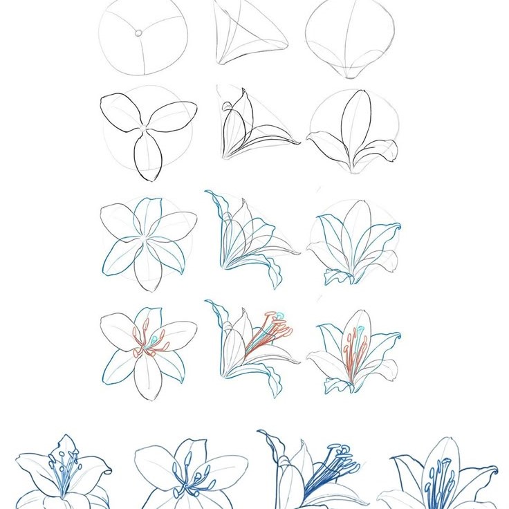 easy pencil flower drawing