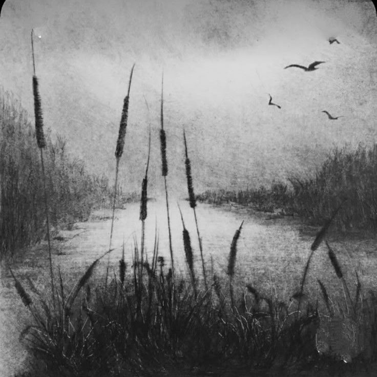 pencil landscape drawing
