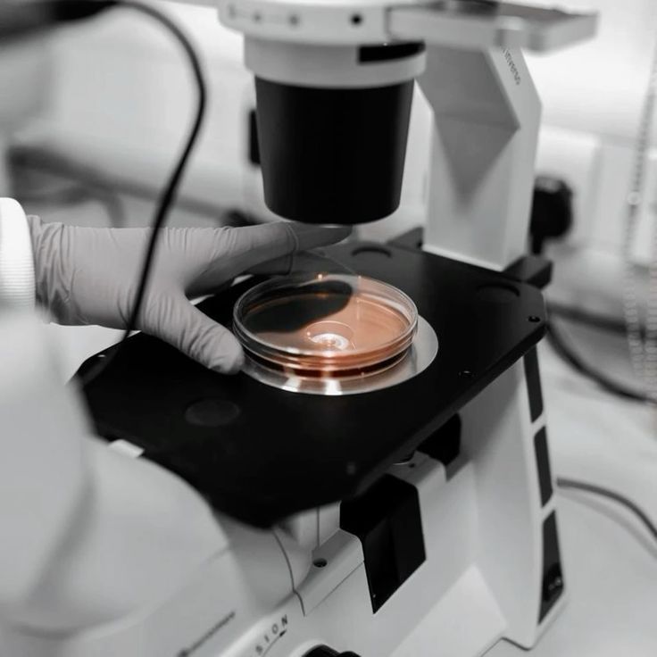 where are the focus controls on a microscope located