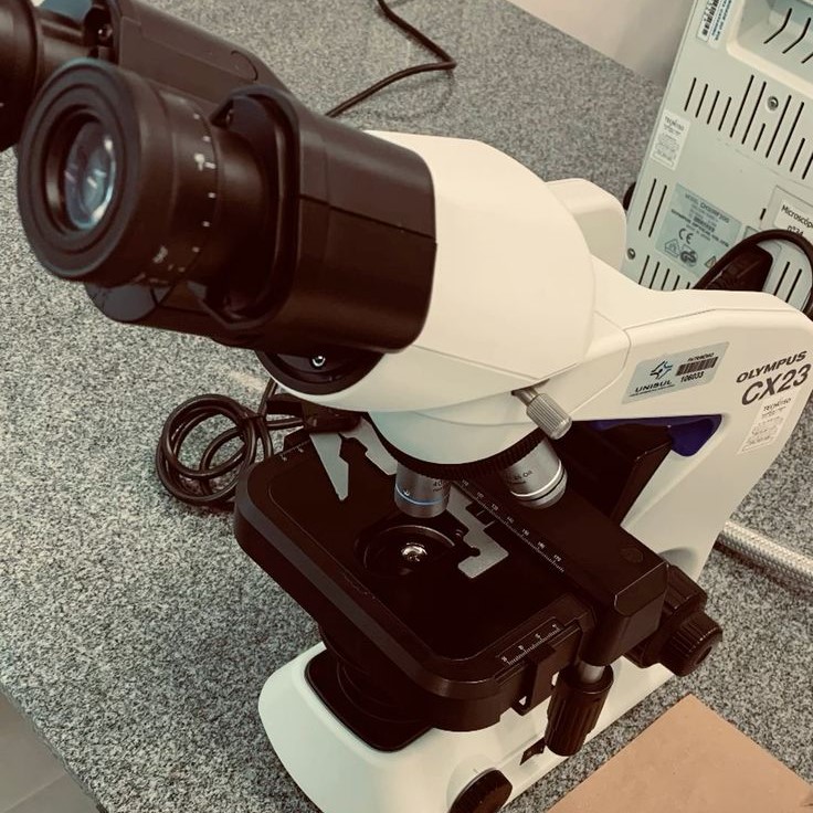what does the eyepiece do on a microscope