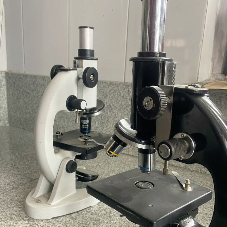 who built the first compound light microscope