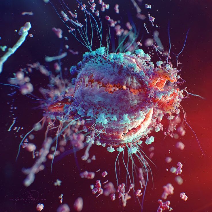 what does a virus look like under a microscope