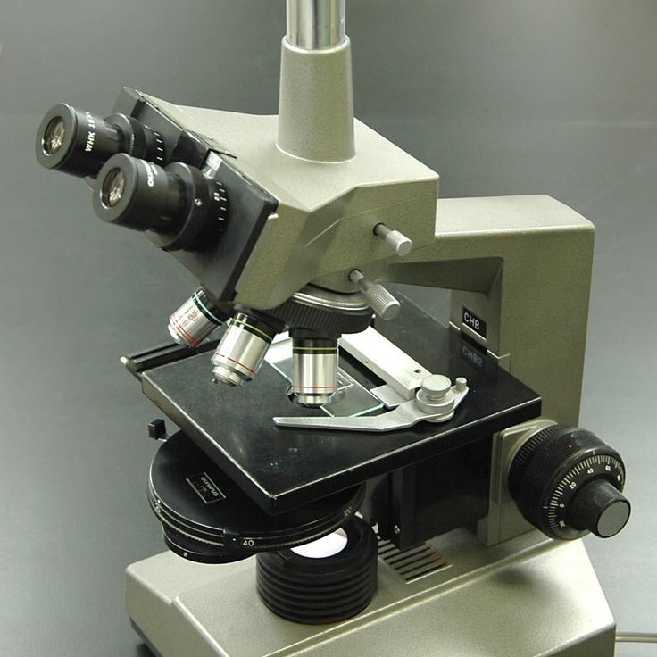 what does the condenser do on a microscope