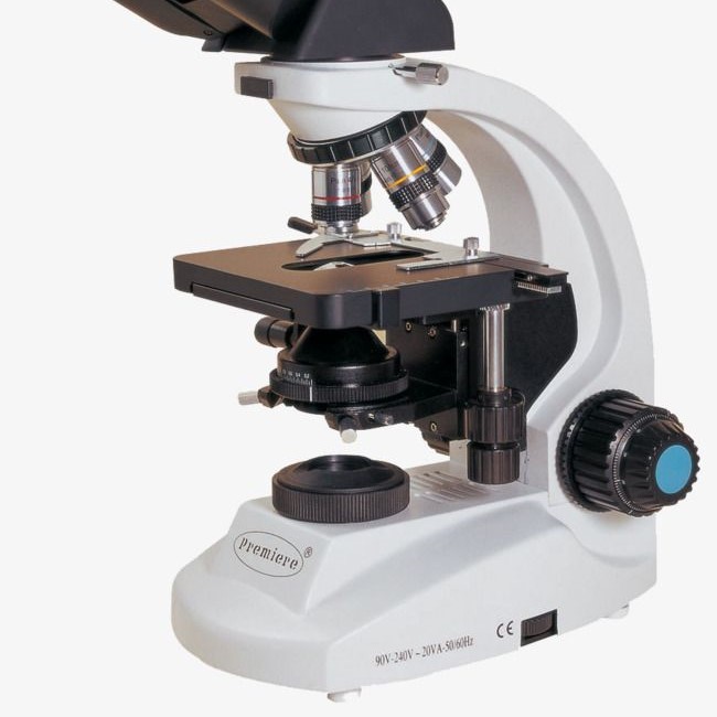 what does the diaphragm do on a microscope