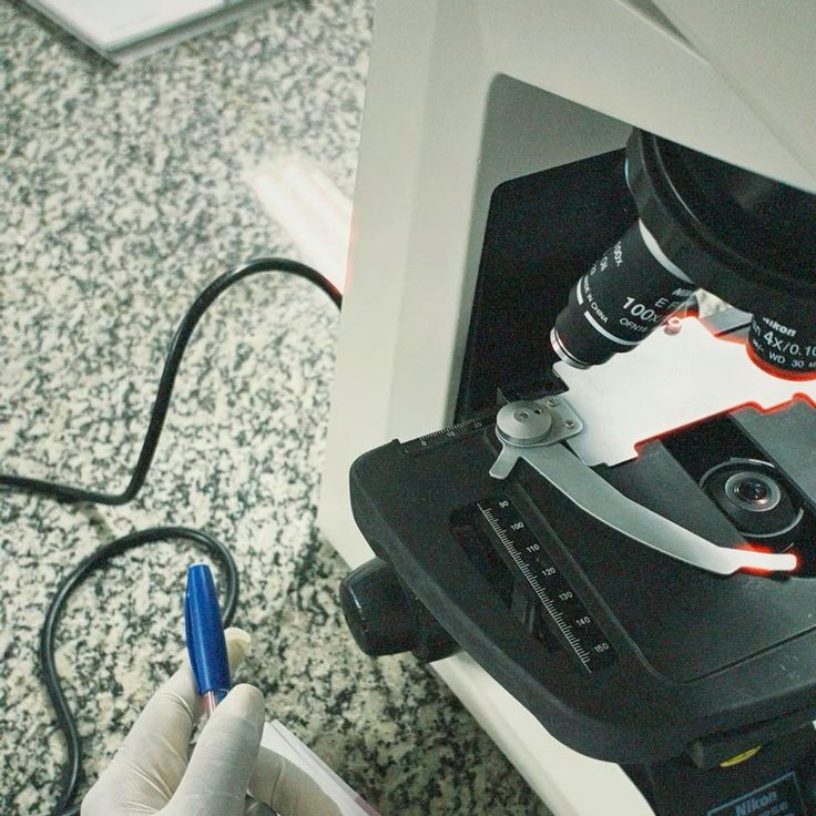 what is a light microscope