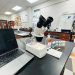 what is the proper way to carry a microscope