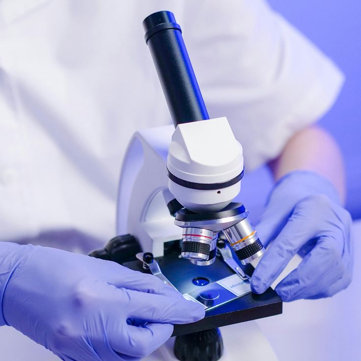 how to focus a microscope