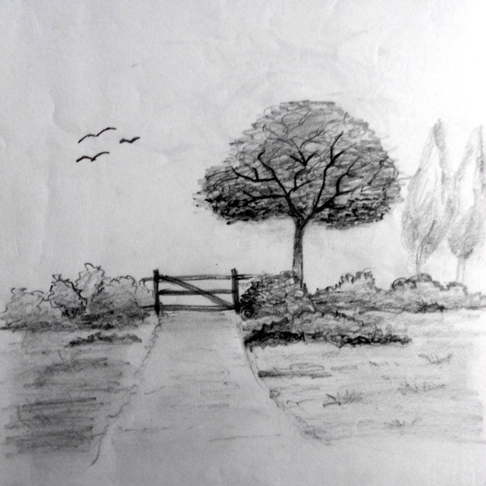 nature pencil drawing