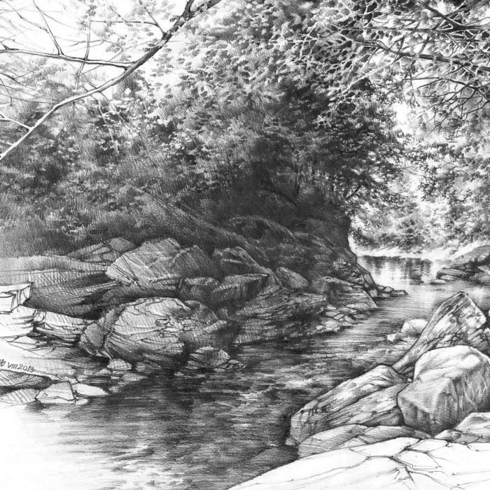 nature pencil drawing