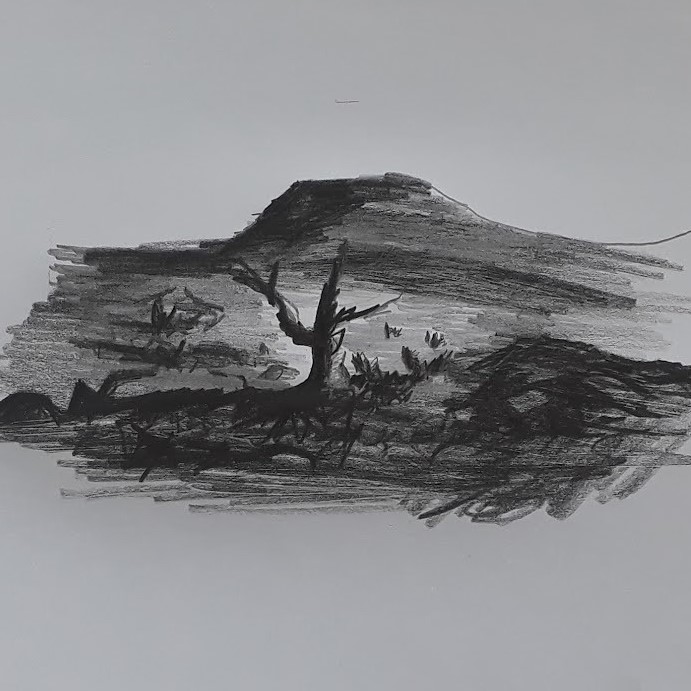 nature pencil drawing