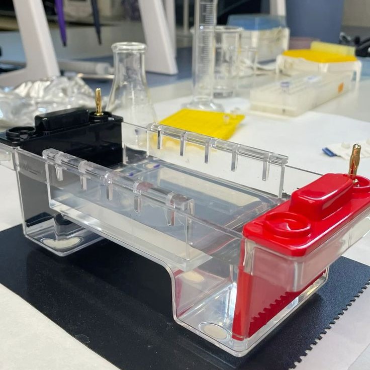 dna extraction kit