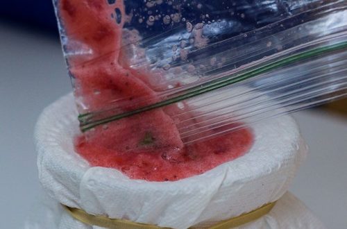 dna strawberry extraction