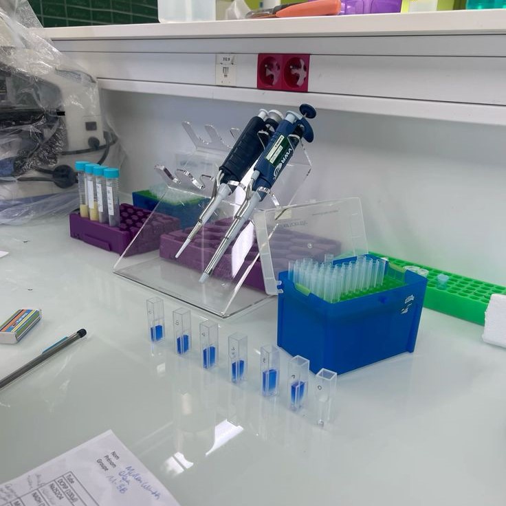 genomic dna extraction