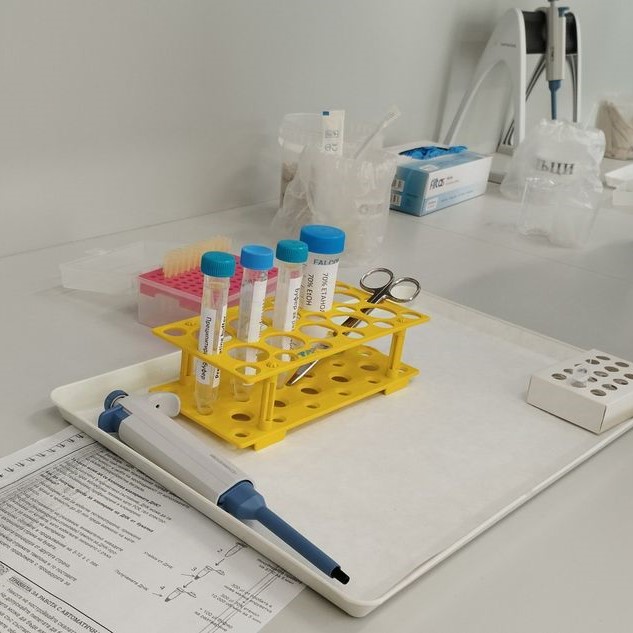 dna extraction kit