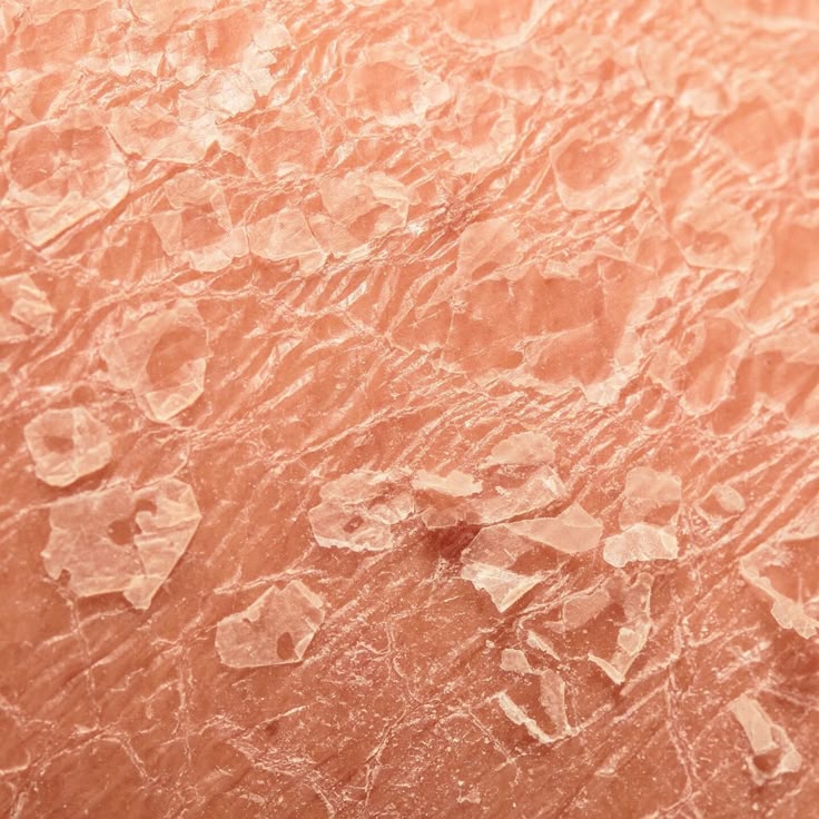 what does skin look like under a microscope