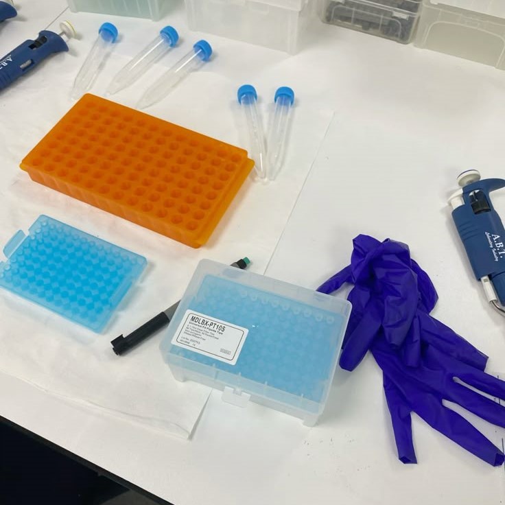 dna extraction kit