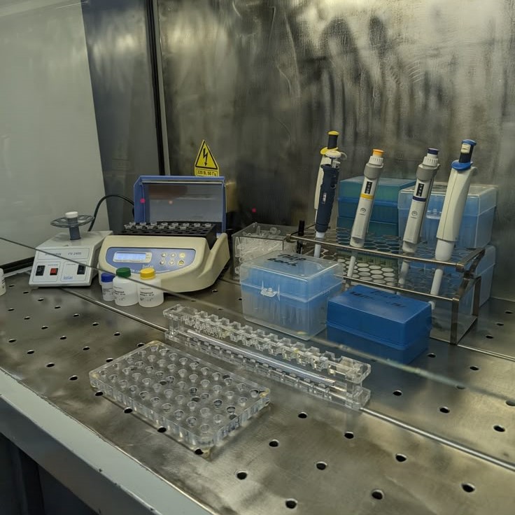 genomic dna extraction