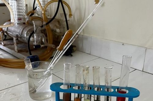 genomic dna extraction