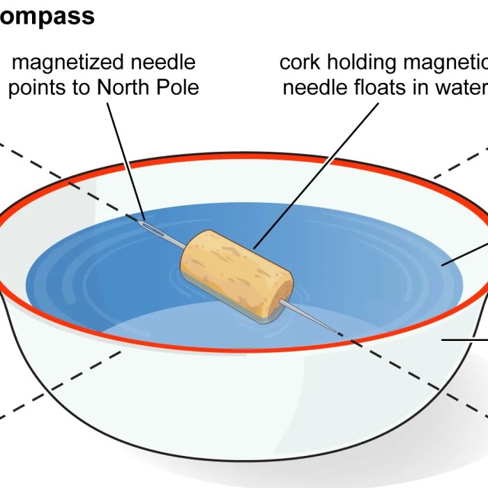 why do compasses point north