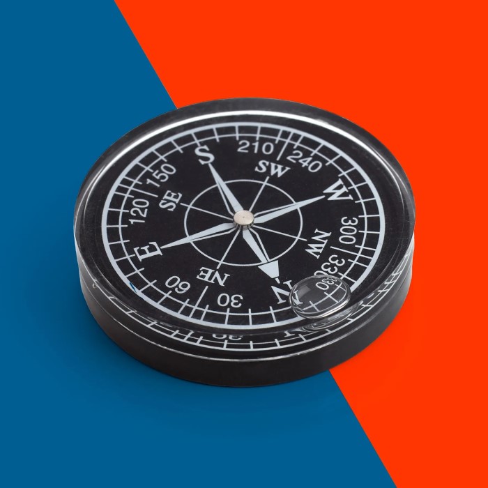 why do compasses point north