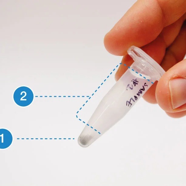 what is dna extraction