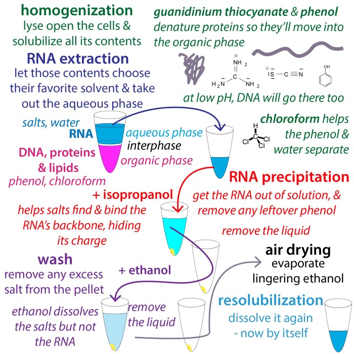 dna and rna extraction