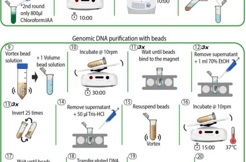 automated dna extraction