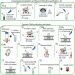 automated dna extraction