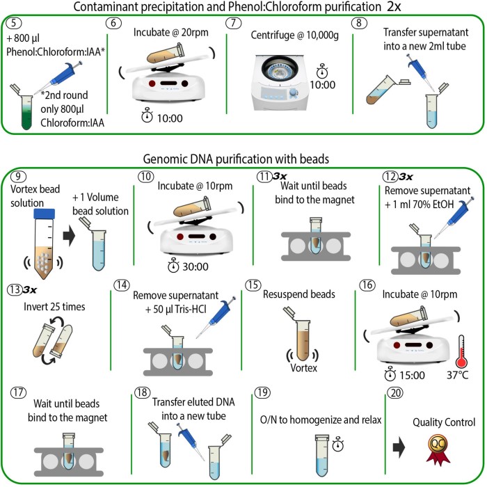 automated dna extraction