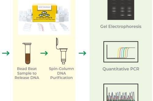 what is dna extraction